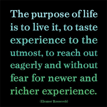 life-purpose-poster-web